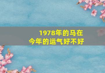 1978年的马在今年的运气好不好