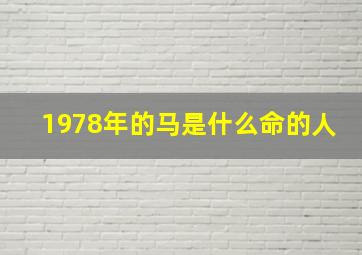 1978年的马是什么命的人