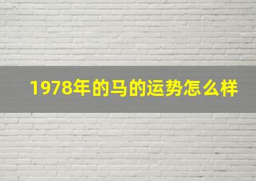 1978年的马的运势怎么样