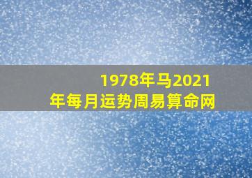 1978年马2021年每月运势周易算命网