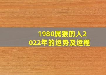 1980属猴的人2022年的运势及运程