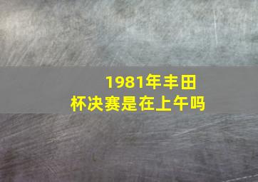 1981年丰田杯决赛是在上午吗