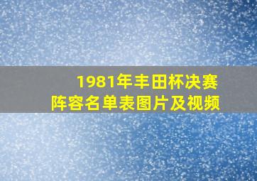 1981年丰田杯决赛阵容名单表图片及视频