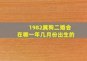 1982属狗二婚会在哪一年几月份出生的