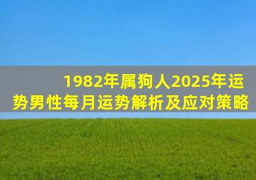 1982年属狗人2025年运势男性每月运势解析及应对策略