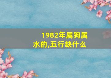 1982年属狗属水的,五行缺什么