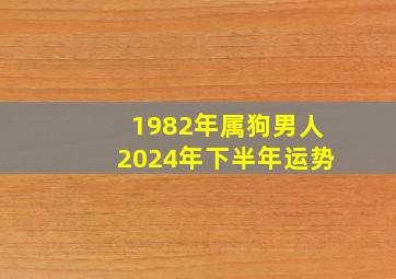 1982年属狗男人2024年下半年运势