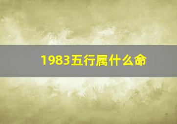 1983五行属什么命