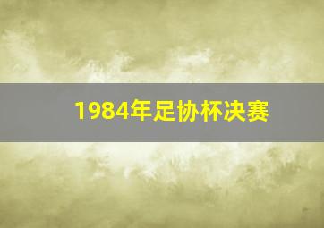 1984年足协杯决赛