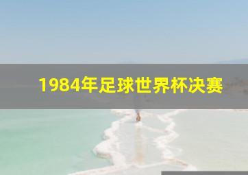 1984年足球世界杯决赛