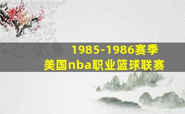 1985-1986赛季美国nba职业篮球联赛