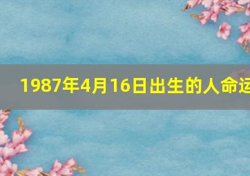 1987年4月16日出生的人命运