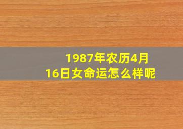 1987年农历4月16日女命运怎么样呢