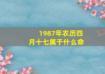 1987年农历四月十七属于什么命