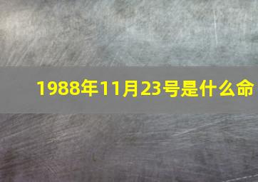 1988年11月23号是什么命