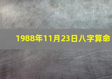 1988年11月23日八字算命