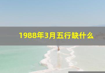 1988年3月五行缺什么