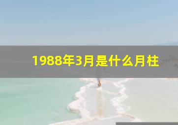 1988年3月是什么月柱