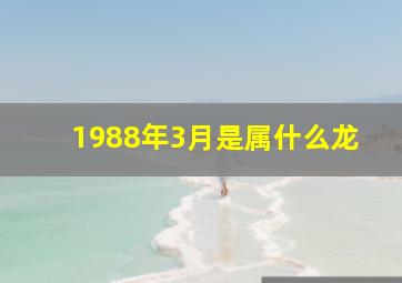 1988年3月是属什么龙