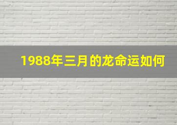 1988年三月的龙命运如何