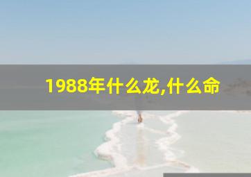 1988年什么龙,什么命