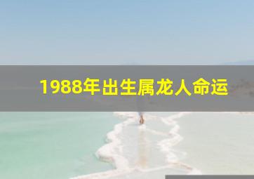 1988年出生属龙人命运