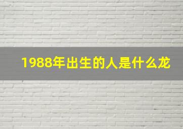 1988年出生的人是什么龙