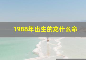 1988年出生的龙什么命