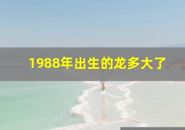 1988年出生的龙多大了