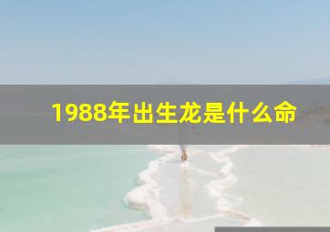 1988年出生龙是什么命