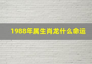 1988年属生肖龙什么命运