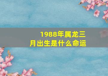 1988年属龙三月出生是什么命运