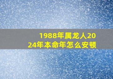 1988年属龙人2024年本命年怎么安顿