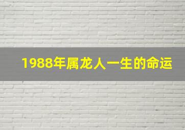 1988年属龙人一生的命运