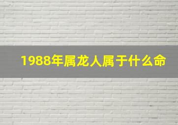 1988年属龙人属于什么命