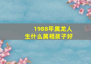 1988年属龙人生什么属相孩子好