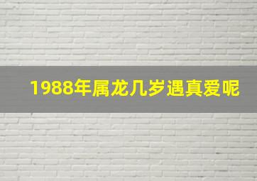 1988年属龙几岁遇真爱呢