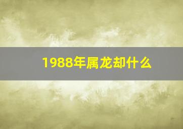 1988年属龙却什么