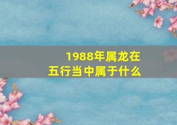 1988年属龙在五行当中属于什么