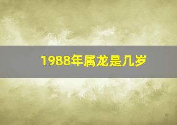 1988年属龙是几岁