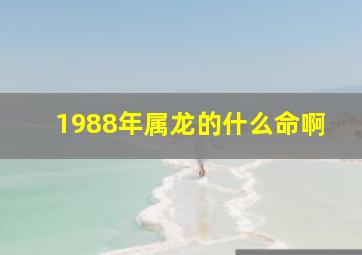 1988年属龙的什么命啊