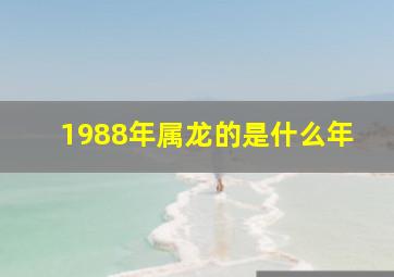 1988年属龙的是什么年