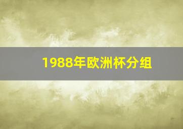 1988年欧洲杯分组