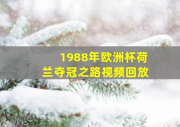 1988年欧洲杯荷兰夺冠之路视频回放