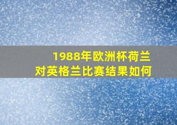 1988年欧洲杯荷兰对英格兰比赛结果如何