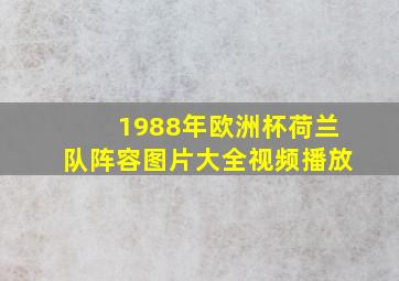 1988年欧洲杯荷兰队阵容图片大全视频播放