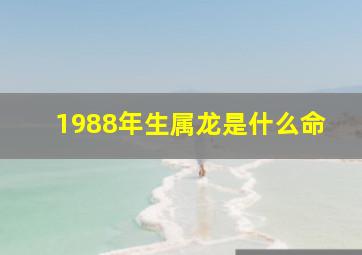 1988年生属龙是什么命