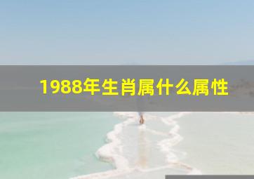 1988年生肖属什么属性