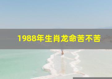 1988年生肖龙命苦不苦