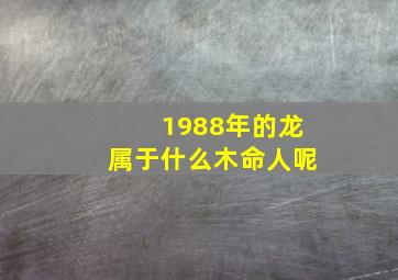 1988年的龙属于什么木命人呢